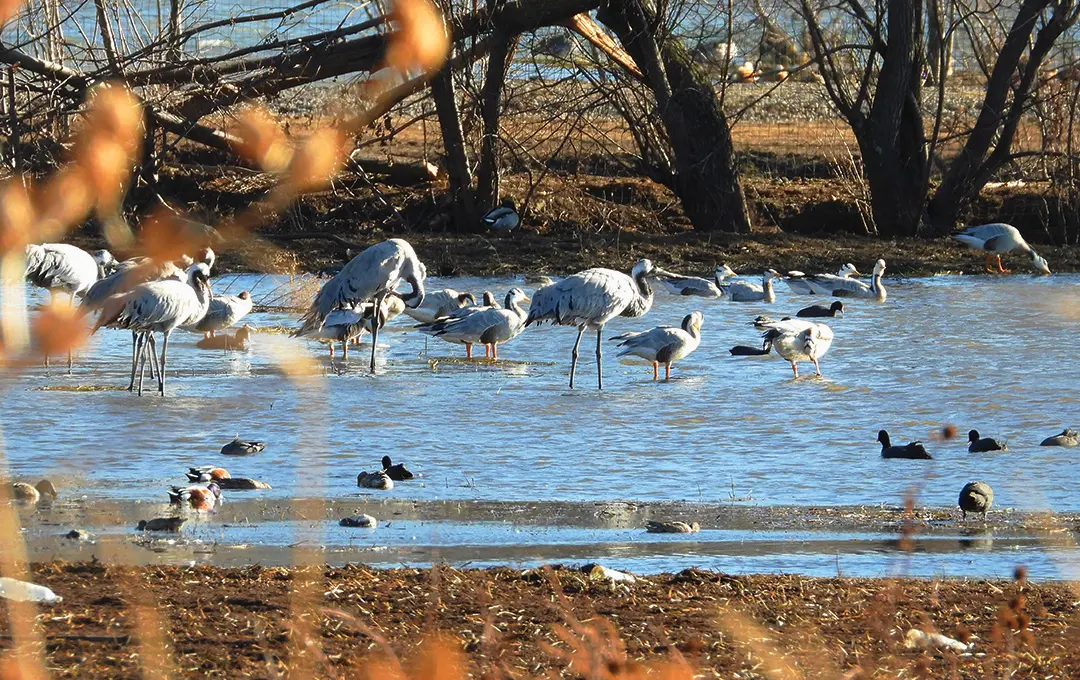 Unblock your team boost your time to production preview